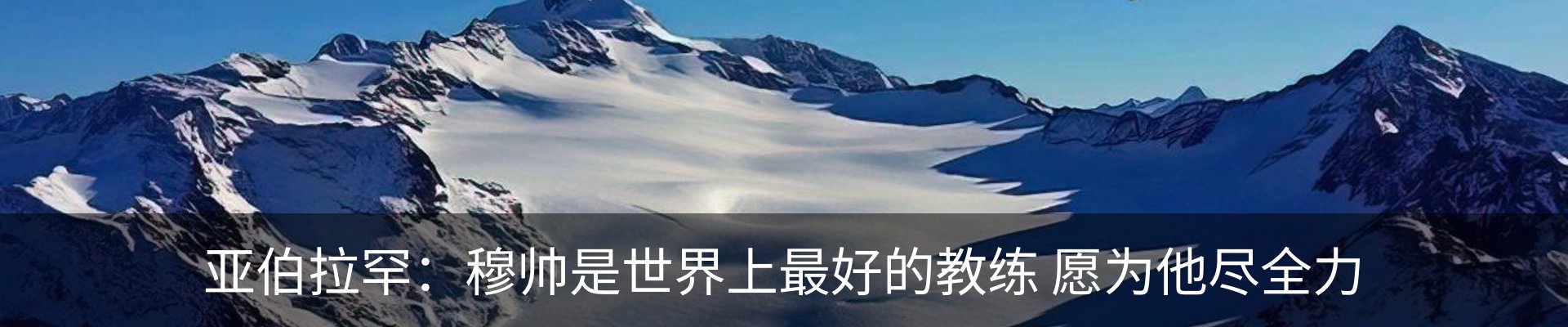 新闻动态